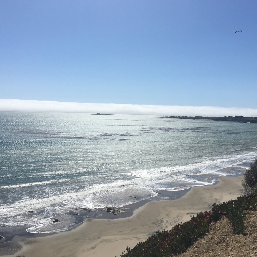 Meet your Posher, Lavinia